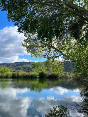 Lake | Sage Farm