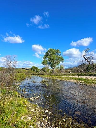 Sage Farm Streambed
