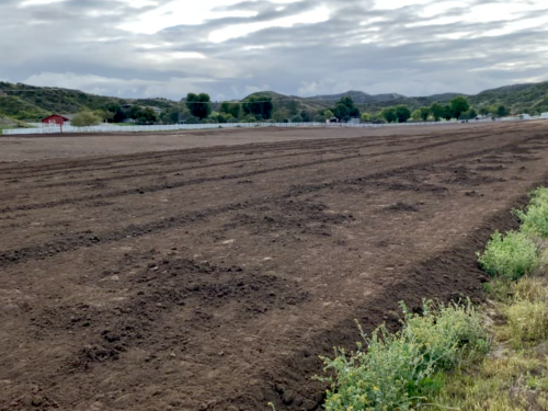 Compost-enriched Soil - Compost covered field | Sage Farm